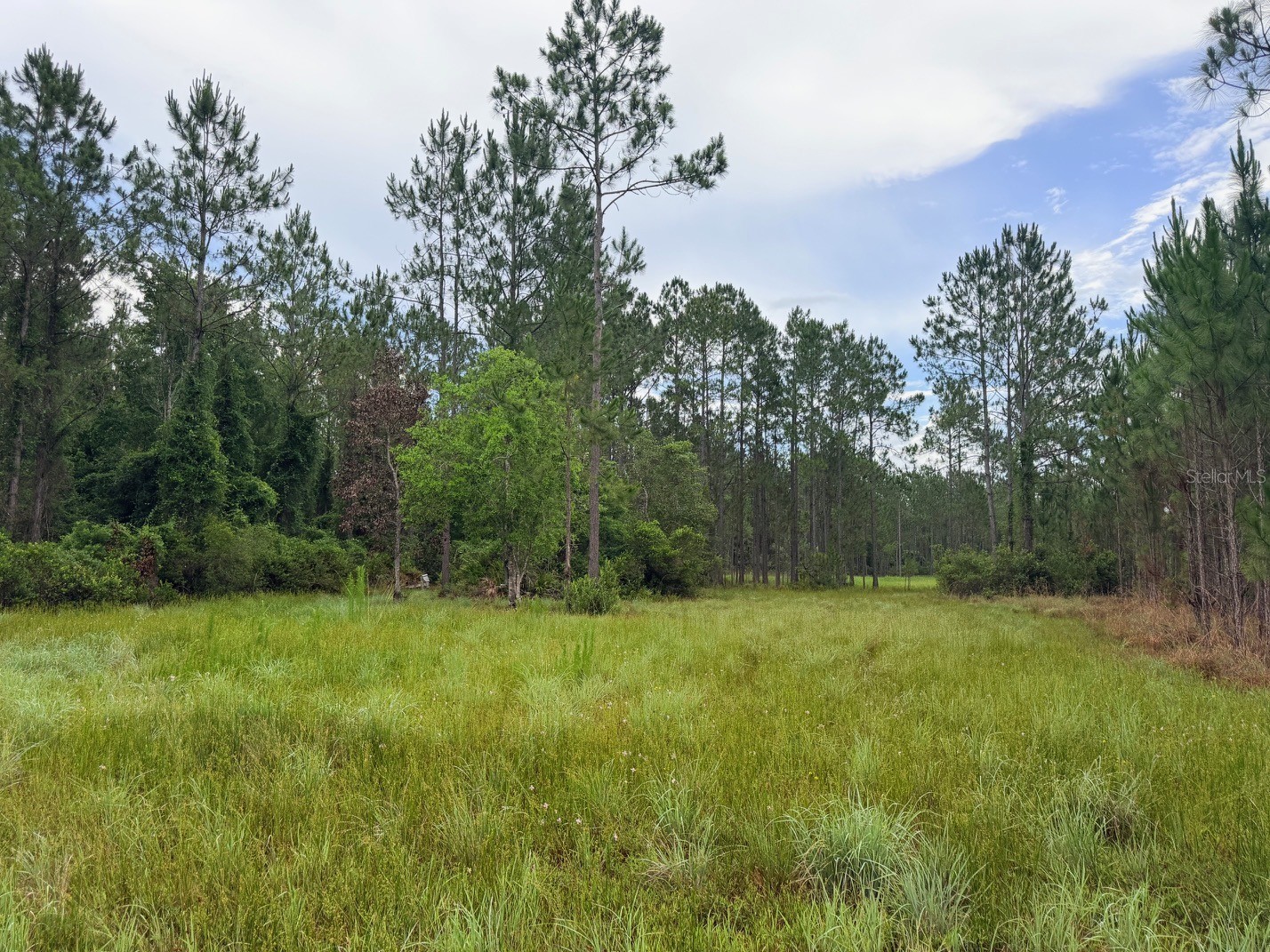 790 NW 42 Terrace Chiefland FL 32626 GC541238 image32