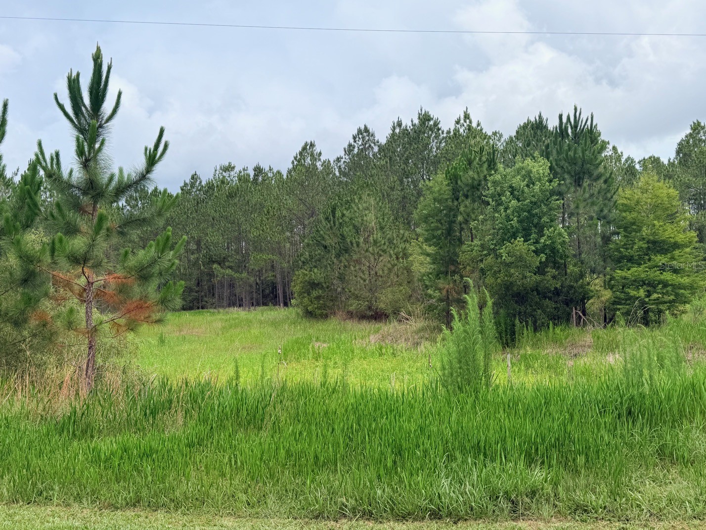 790 NW 42 Terrace Chiefland FL 32626 GC541238 image33