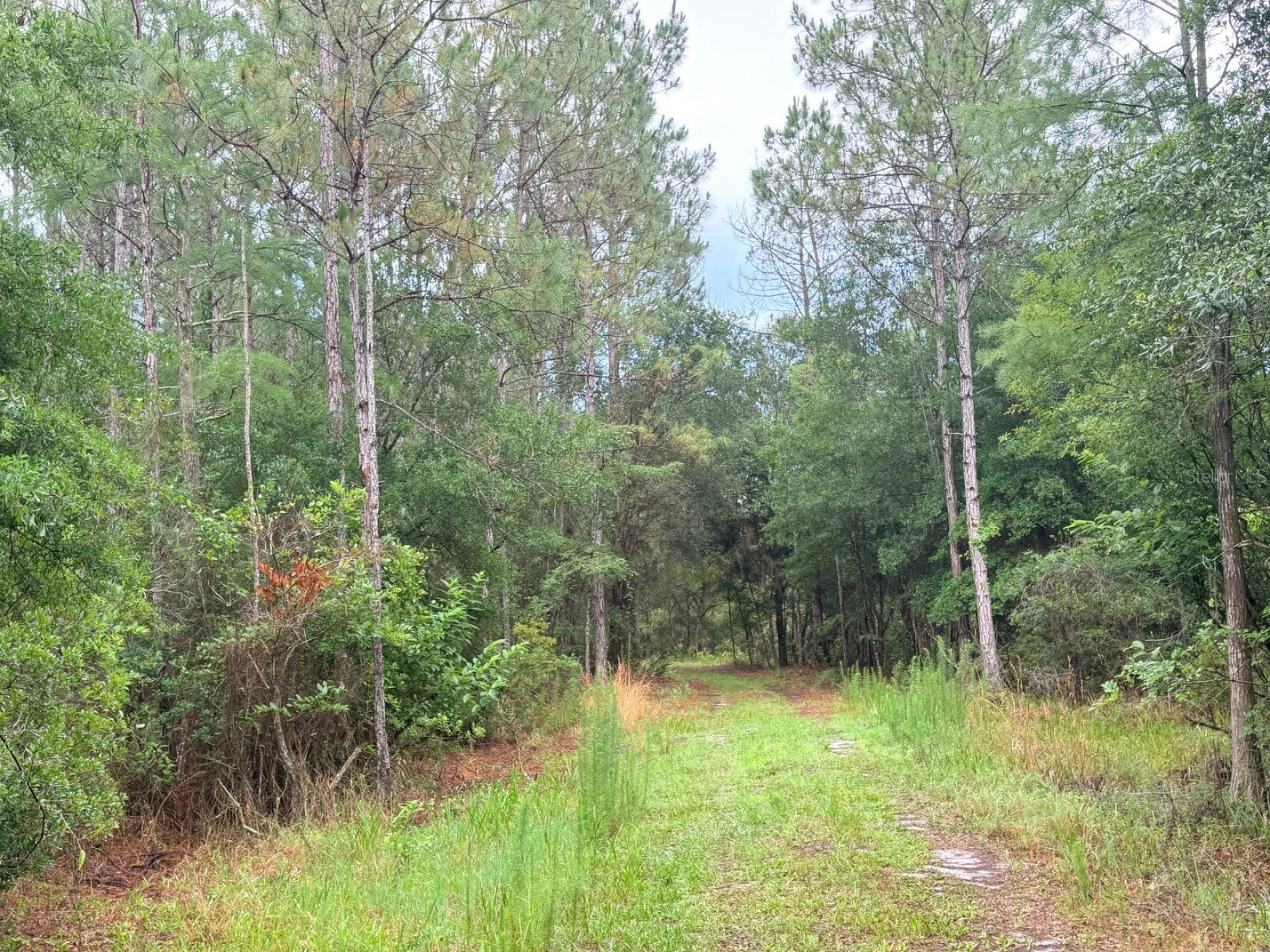 790 NW 42 Terrace Chiefland FL 32626 GC541238 image34