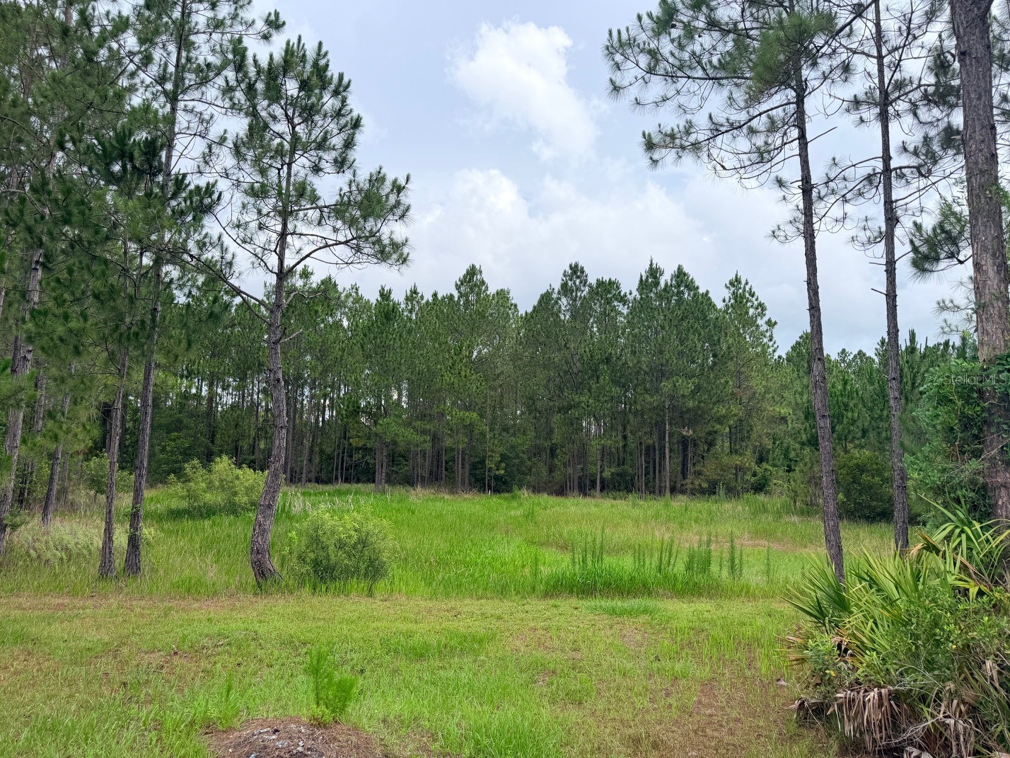790 NW 42 Terrace Chiefland FL 32626 GC541238 image38