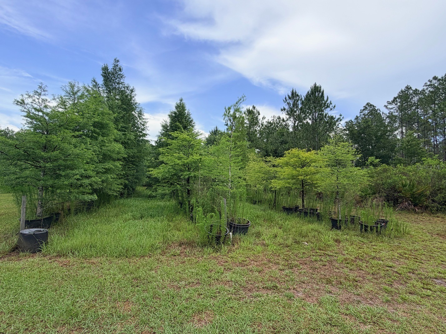 790 NW 42 Terrace Chiefland FL 32626 GC541238 image39
