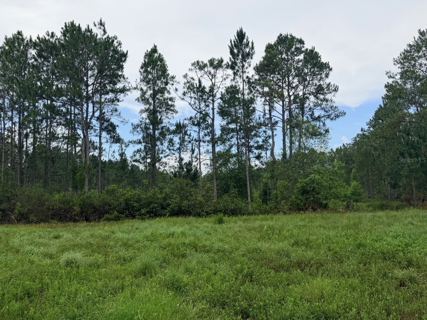 790 NW 42 Terrace Chiefland FL 32626 GC541238 image42