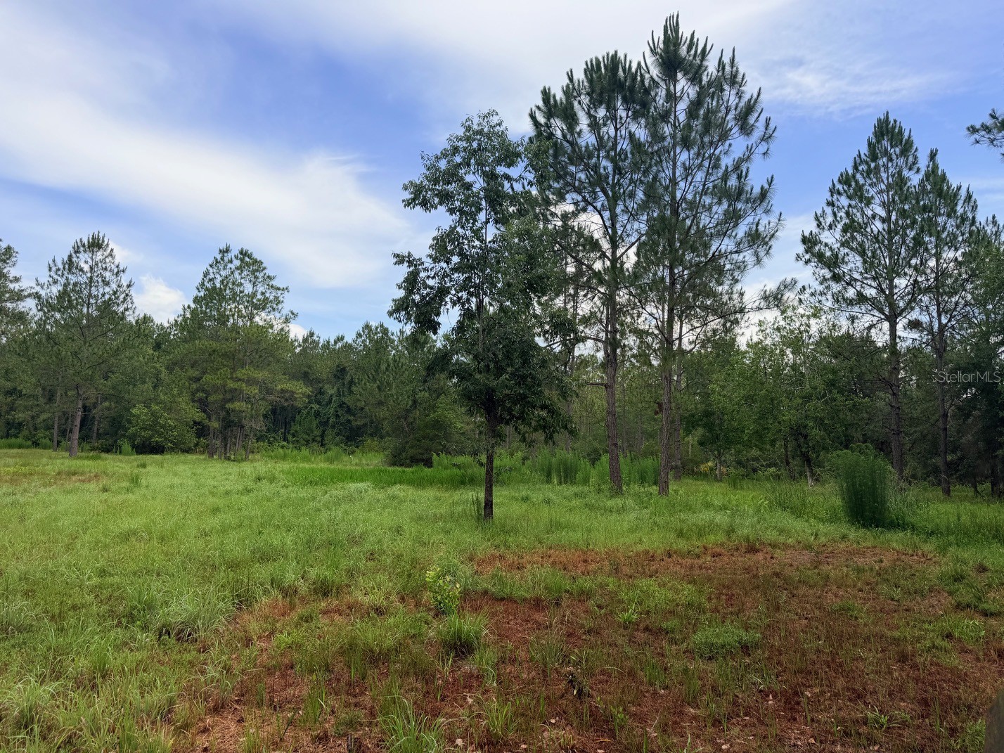 790 NW 42 Terrace Chiefland FL 32626 GC541238 image43