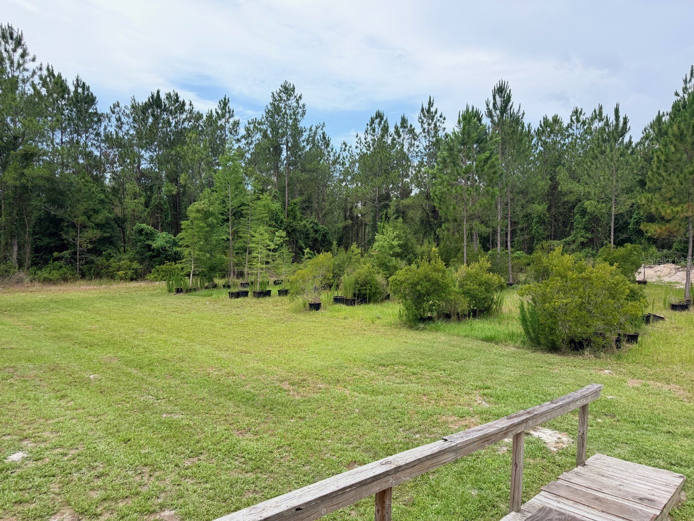 790 NW 42 Terrace Chiefland FL 32626 GC541238 image45