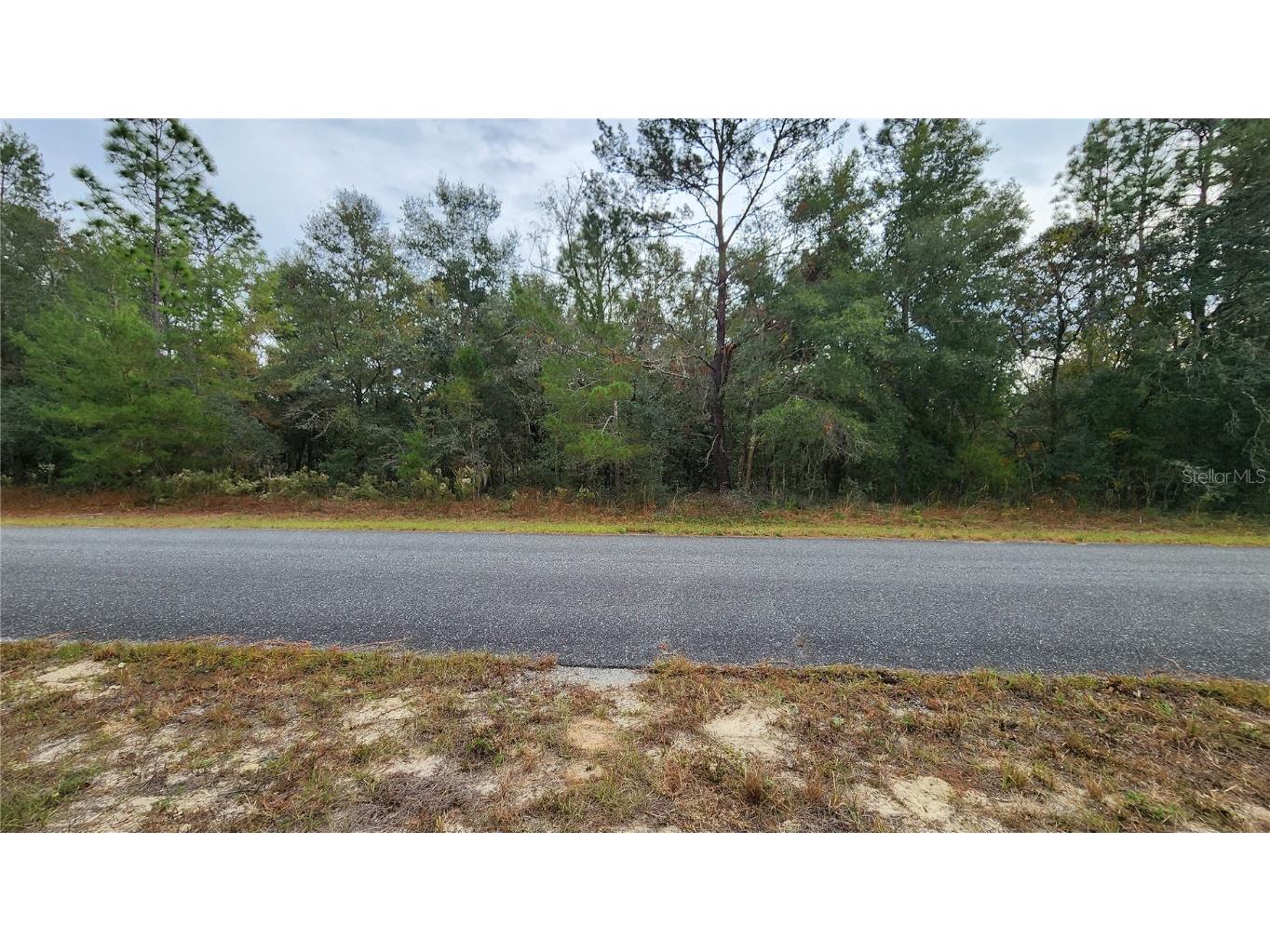 790 W Abner Place Dunnellon FL 34434 OM690556 image1
