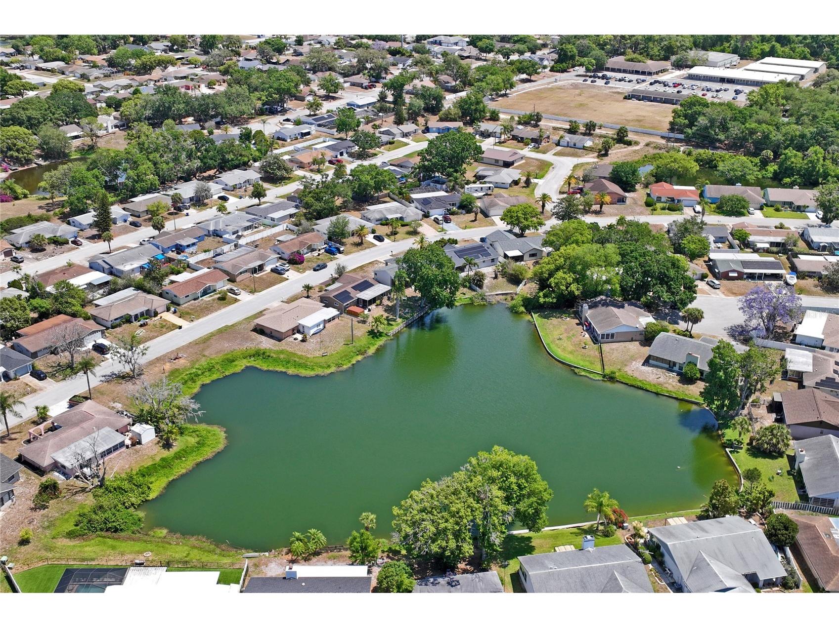 7900 Cayuga Drive New Port Richey FL 34653 W7885471 image57