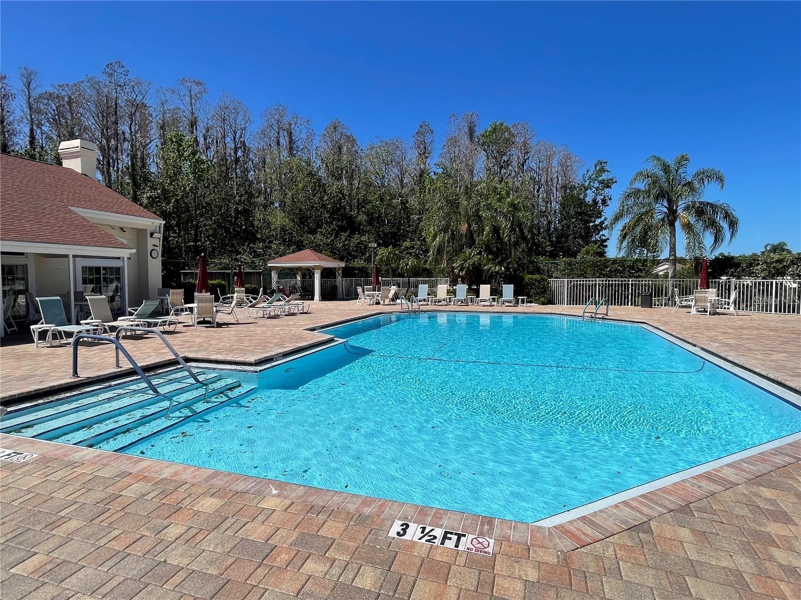 7900 Hardwick Drive #815 New Port Richey FL 34653 W7884354 image2