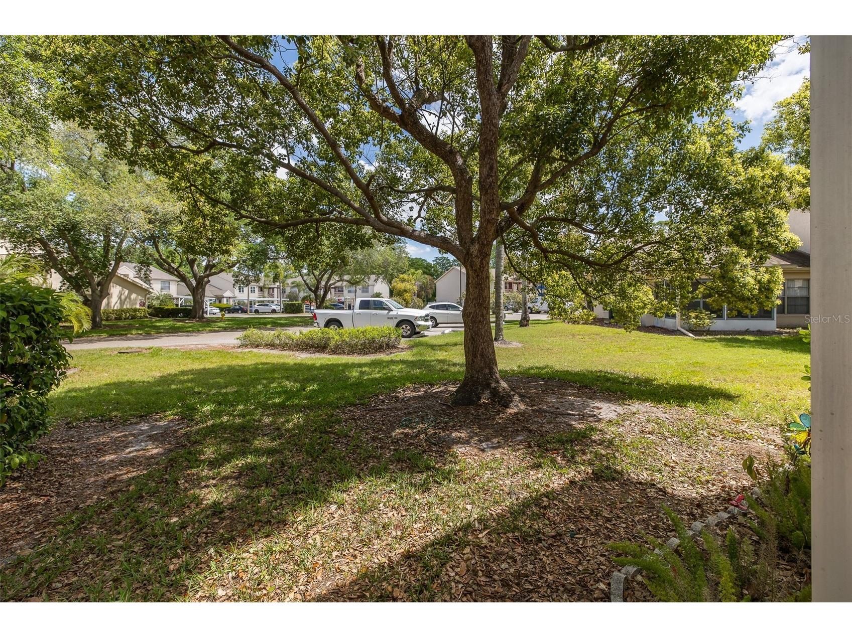 7900 Hardwick Drive #815 New Port Richey FL 34653 W7884354 image38
