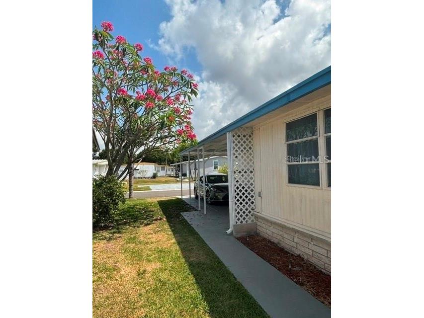 7901 40th Avenue N #60 Saint Petersburg FL 33709 TB8483510 image34