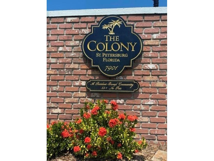 7901 40th Avenue N #60 Saint Petersburg FL 33709 TB8483510 image41