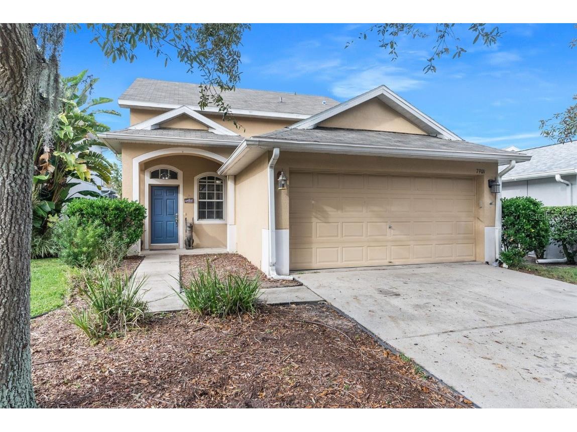 7901 Citrus Blossom Drive Land O Lakes FL 34637 U8183120 image1
