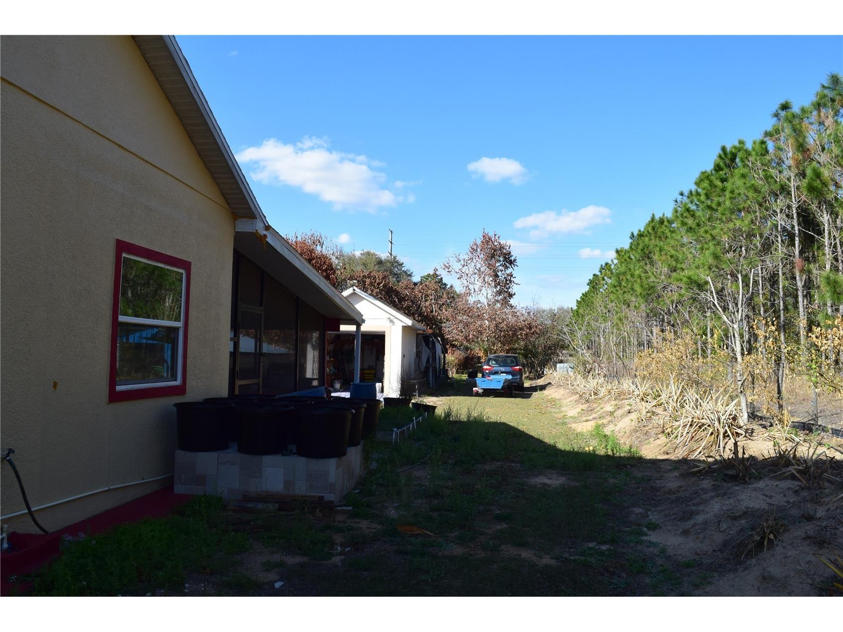 7901 N Cherry Lake Groves Road Groveland FL 34736 S5144382 image14