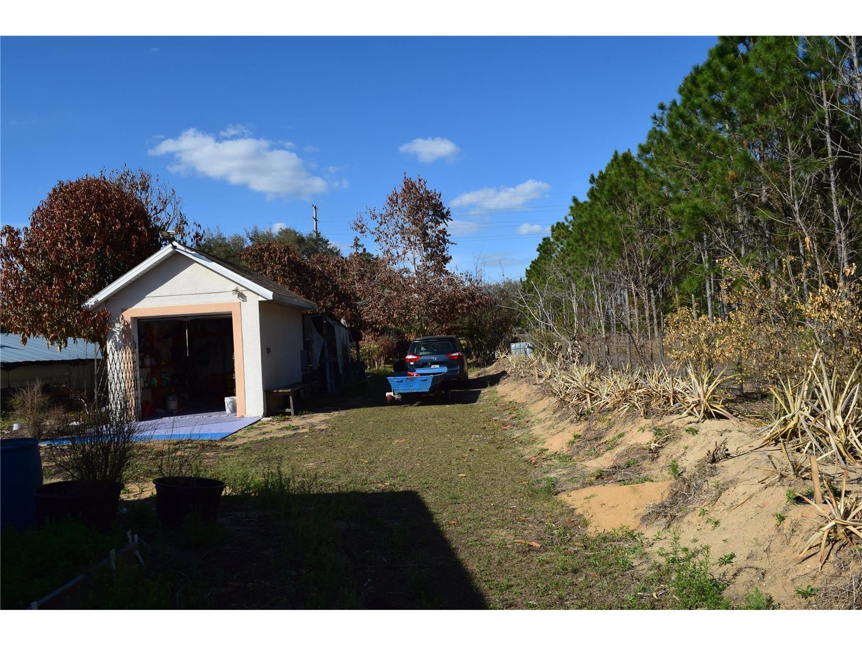 7901 N Cherry Lake Groves Road Groveland FL 34736 S5144382 image16
