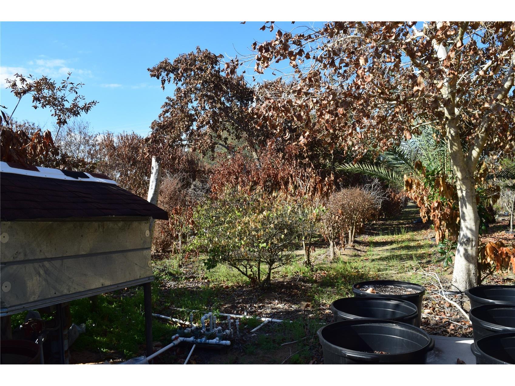 7901 N Cherry Lake Groves Road Groveland FL 34736 S5144382 image21