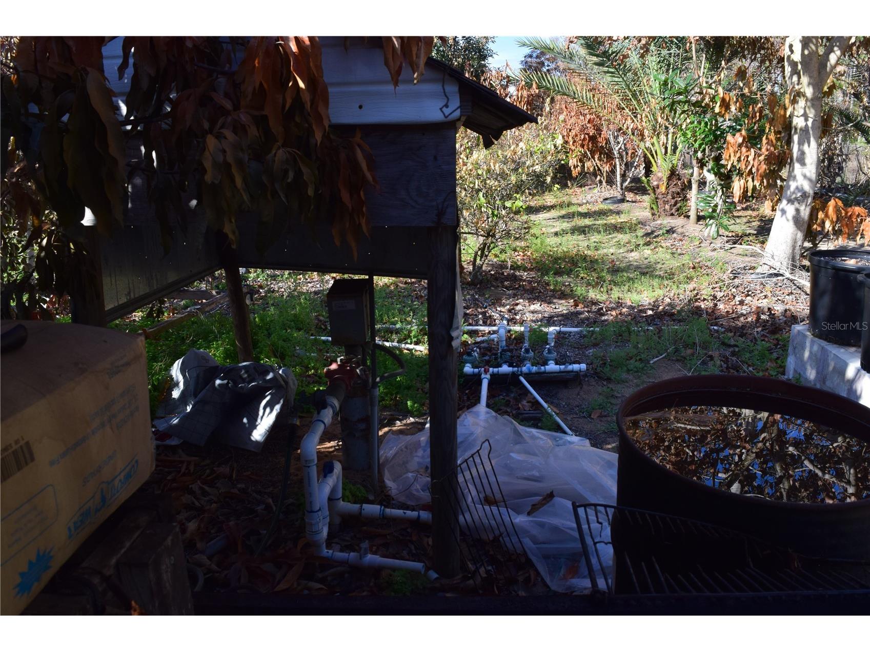 7901 N Cherry Lake Groves Road Groveland FL 34736 S5144382 image23