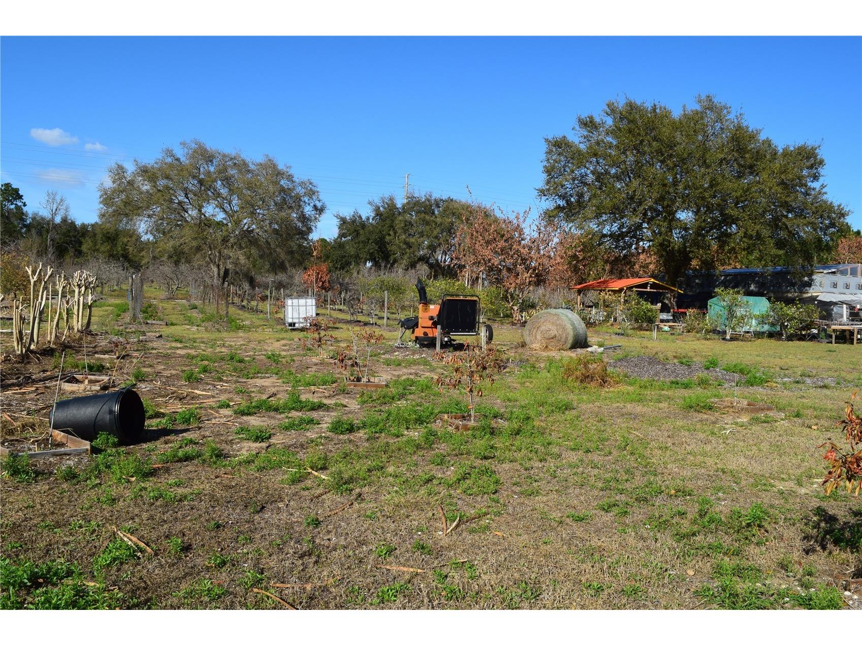 7901 N Cherry Lake Groves Road Groveland FL 34736 S5144382 image39