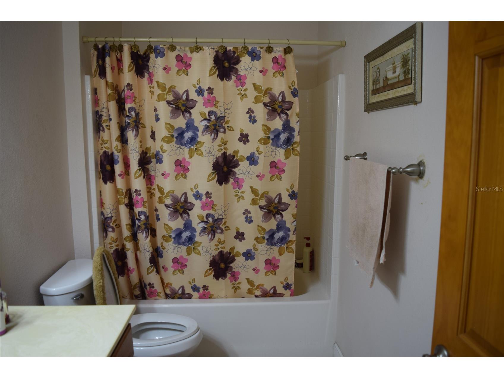 7901 N Cherry Lake Groves Road Groveland FL 34736 S5144382 image65