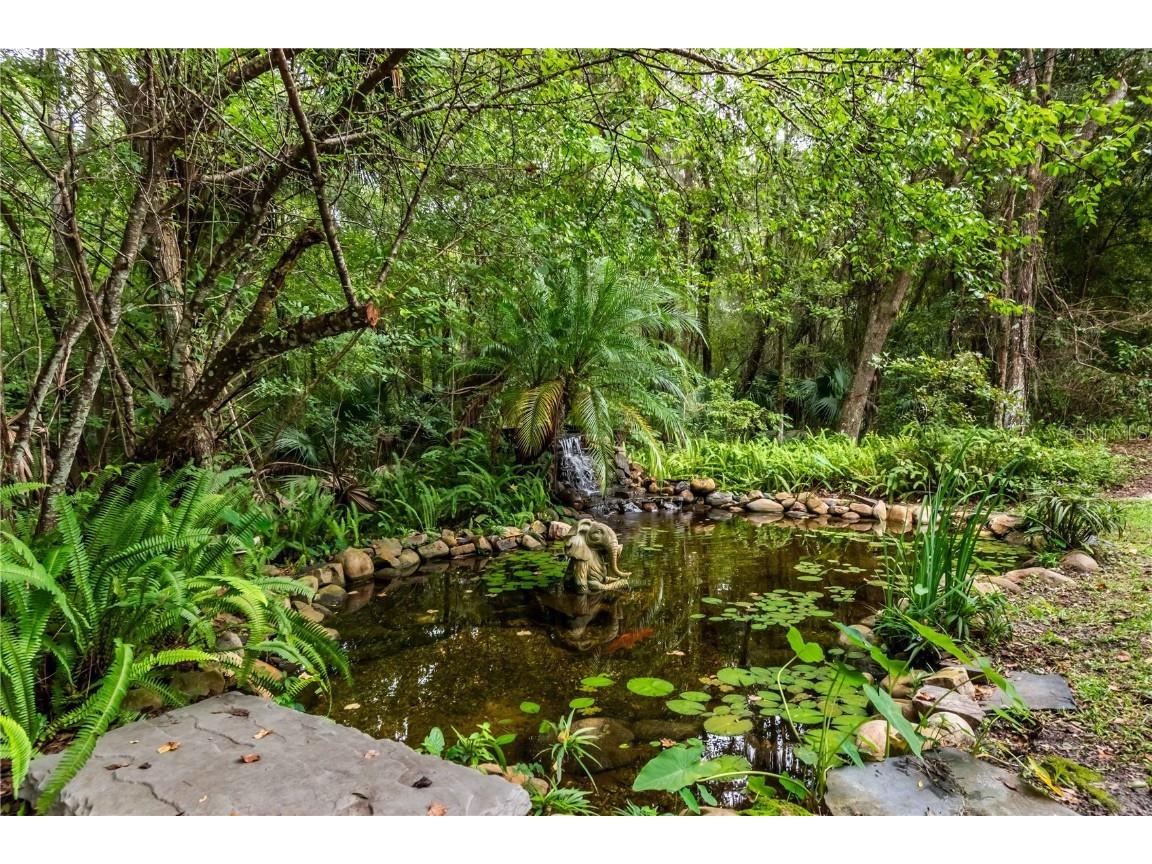 7901 NW 125th Street Reddick FL 32686 OM711917 image45