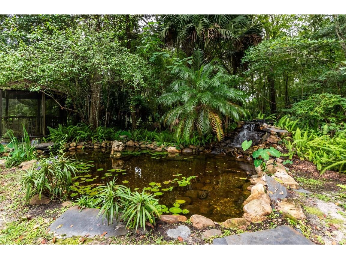 7901 NW 125th Street Reddick FL 32686 OM711917 image46