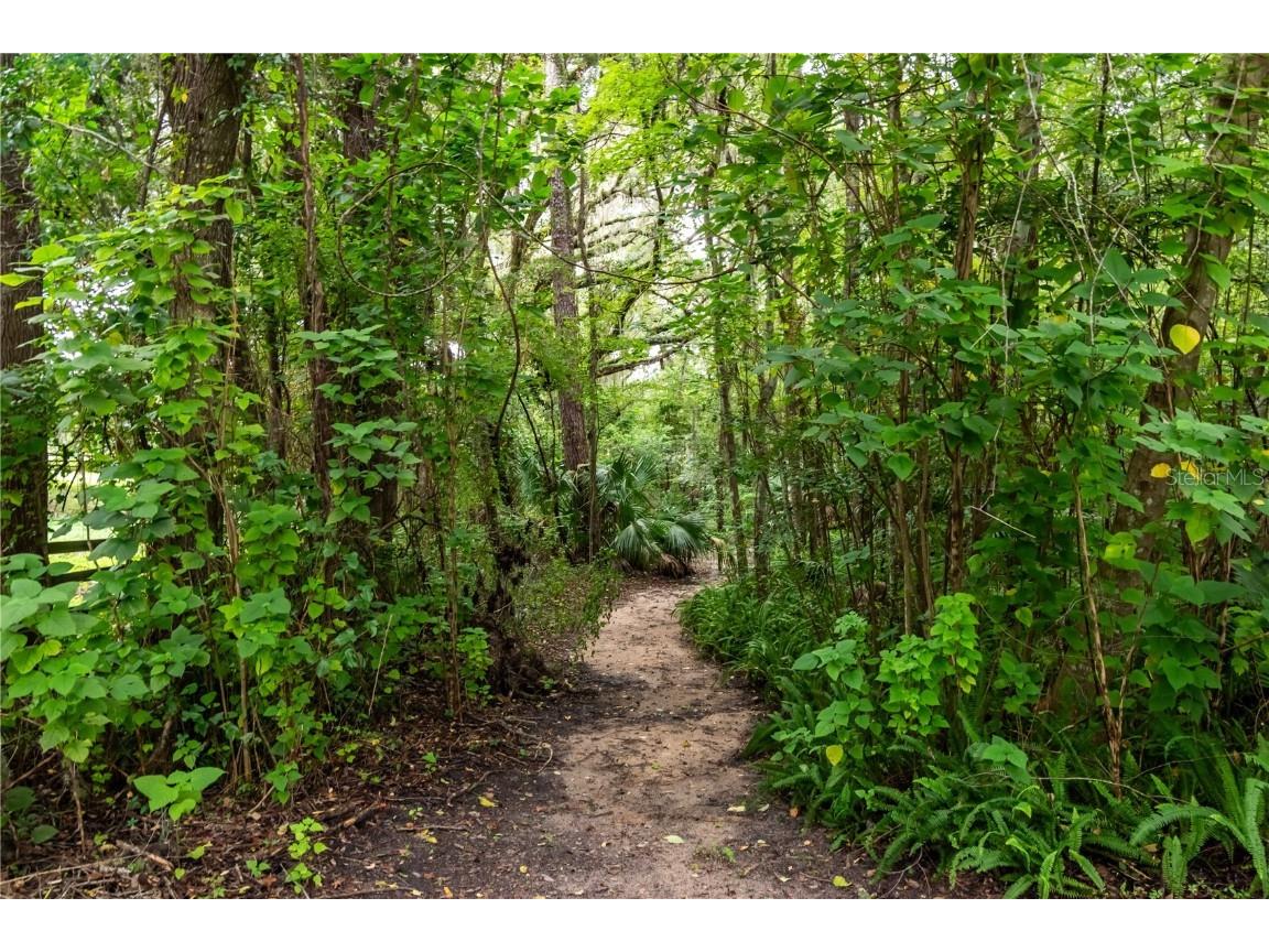 7901 NW 125th Street Reddick FL 32686 OM711917 image50