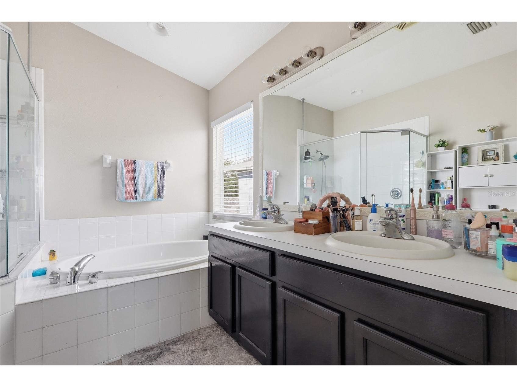7902 Carriage Pointe Dr Gibsonton FL 33534 TB8523872 image17