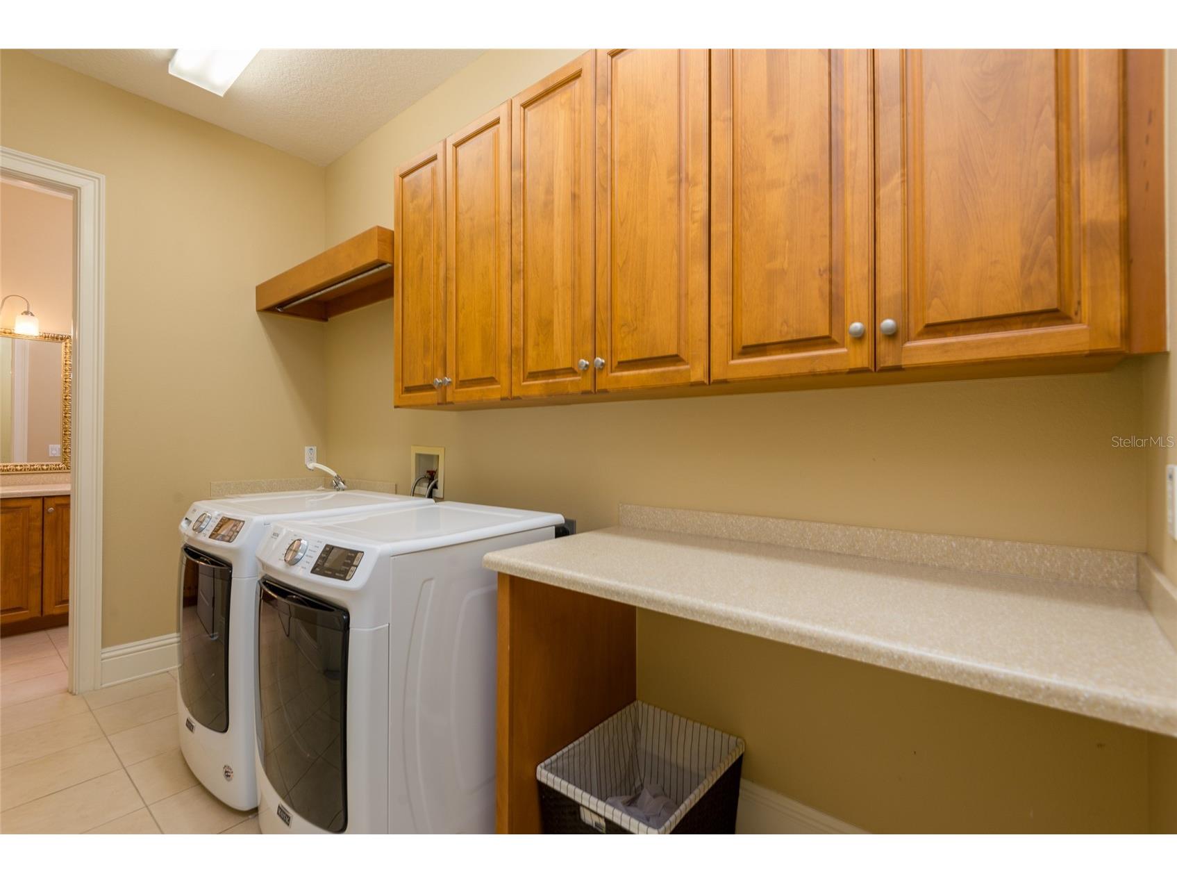 7902 Foxcatcher Court Odessa FL 33556 - LAKE PRETTY TB8513048 image29