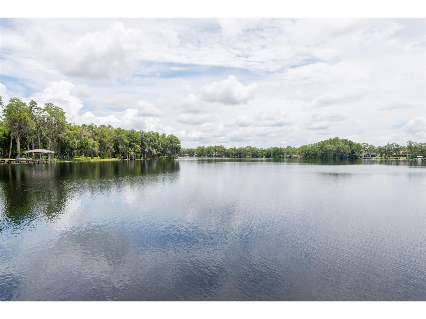 7902 Foxcatcher Court Odessa FL 33556 - LAKE PRETTY TB8513048 image70
