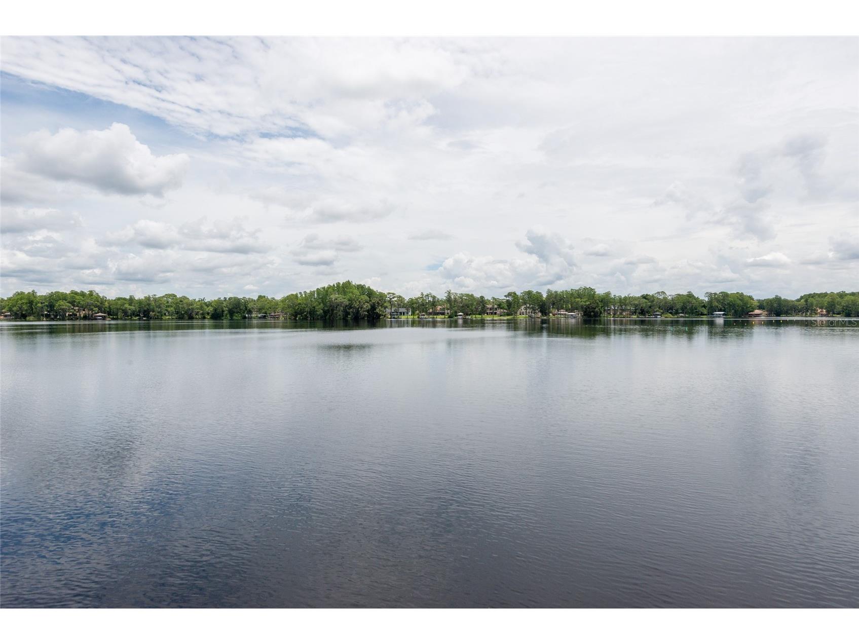 7902 Foxcatcher Court Odessa FL 33556 - LAKE PRETTY TB8513048 image71