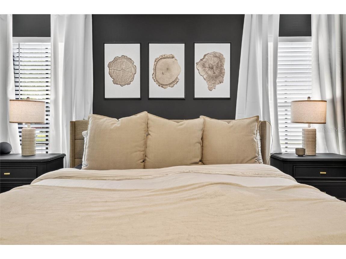 7902 Royal Hart Drive New Port Richey FL 34653 W7877872 image24