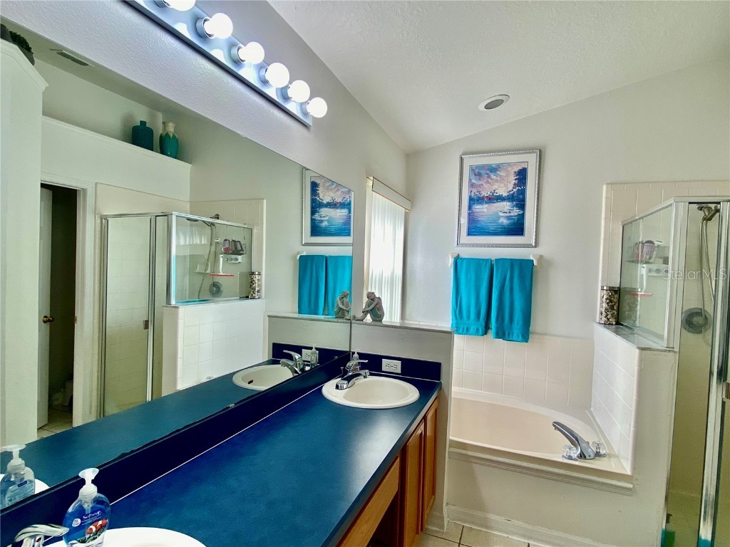 7903 Magnolia Bend Court Kissimmee FL 34747 L4956810 image12