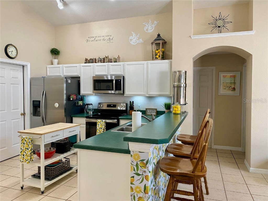 7903 Magnolia Bend Court Kissimmee FL 34747 L4956810 image6