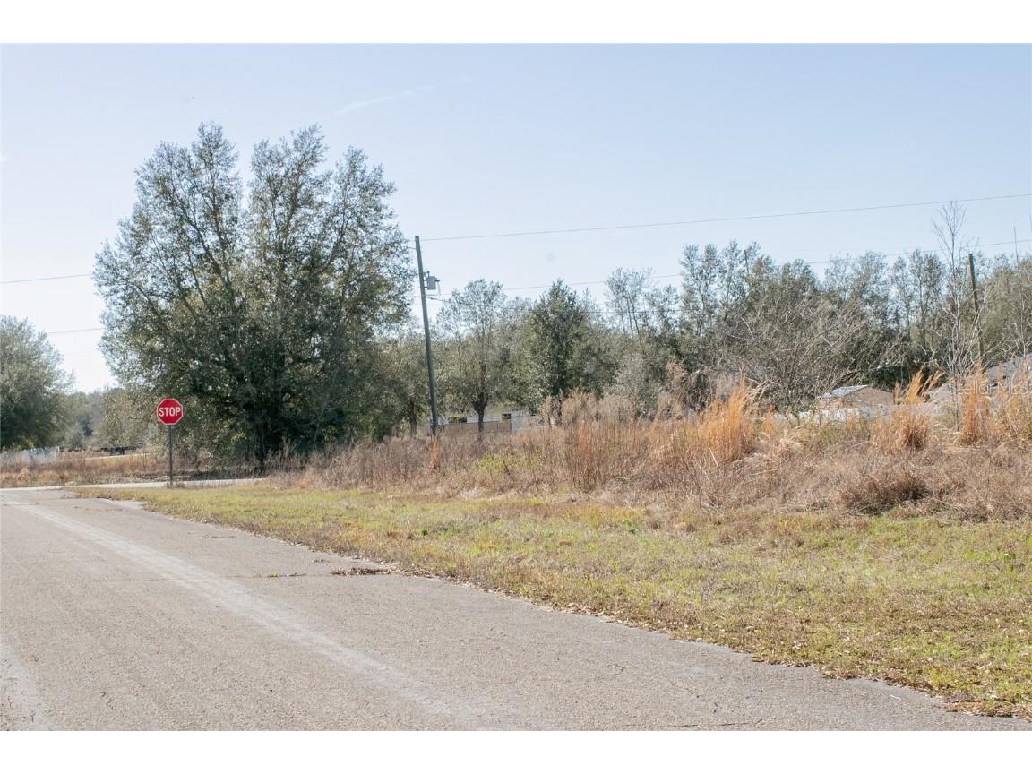 7903 N Elwood Way Citrus Springs FL 34434 U8208677 image1