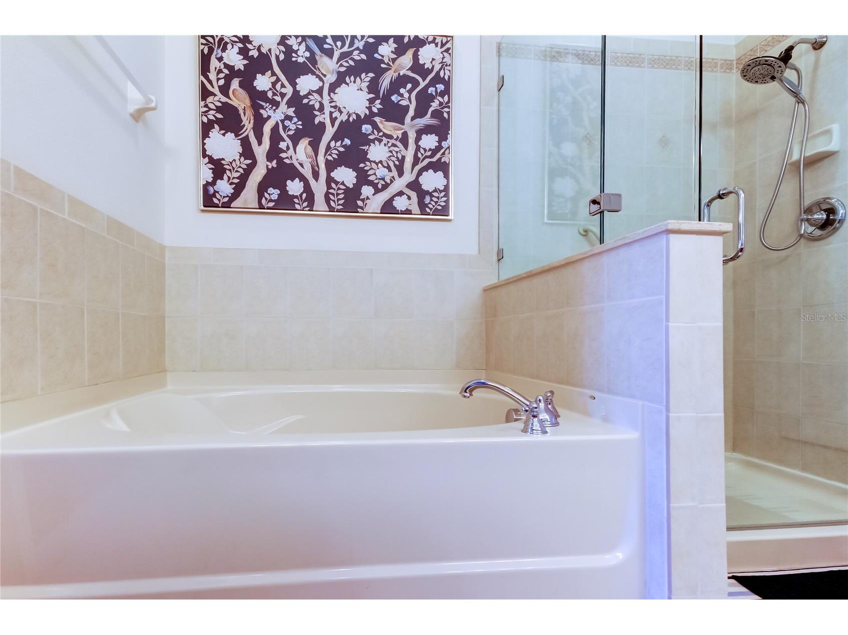 7903 Seminole Blvd #2103 Seminole FL 33772 TB8371809 image31