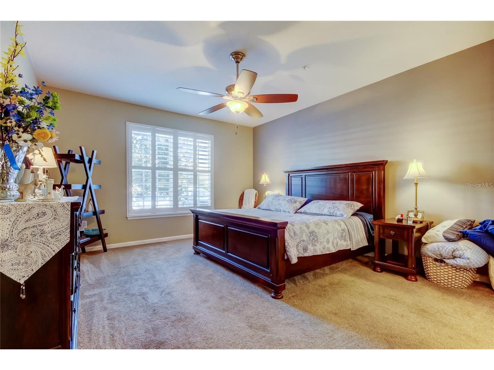 7903 Seminole Boulevard #2103 Seminole FL 33772 TB8511566 image10