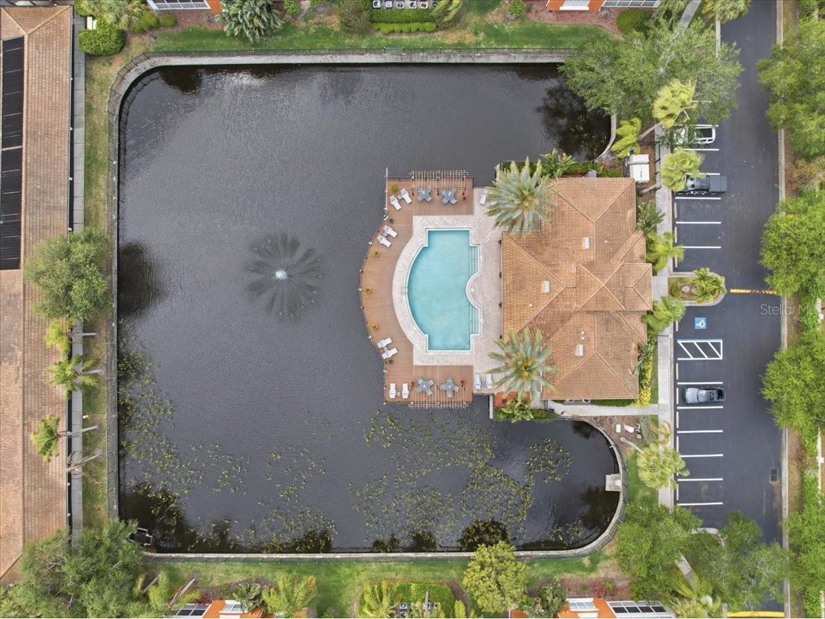 7903 Seminole Boulevard #2305 Seminole FL 33772 TB8493378 image70