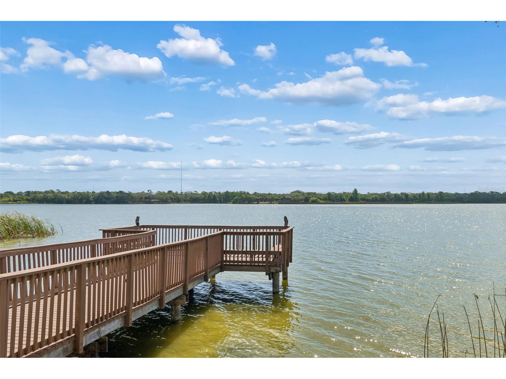 7903 Seminole Boulevard #2401 Seminole FL 33772 - LAKE SEMINOLE TB8507264 image1