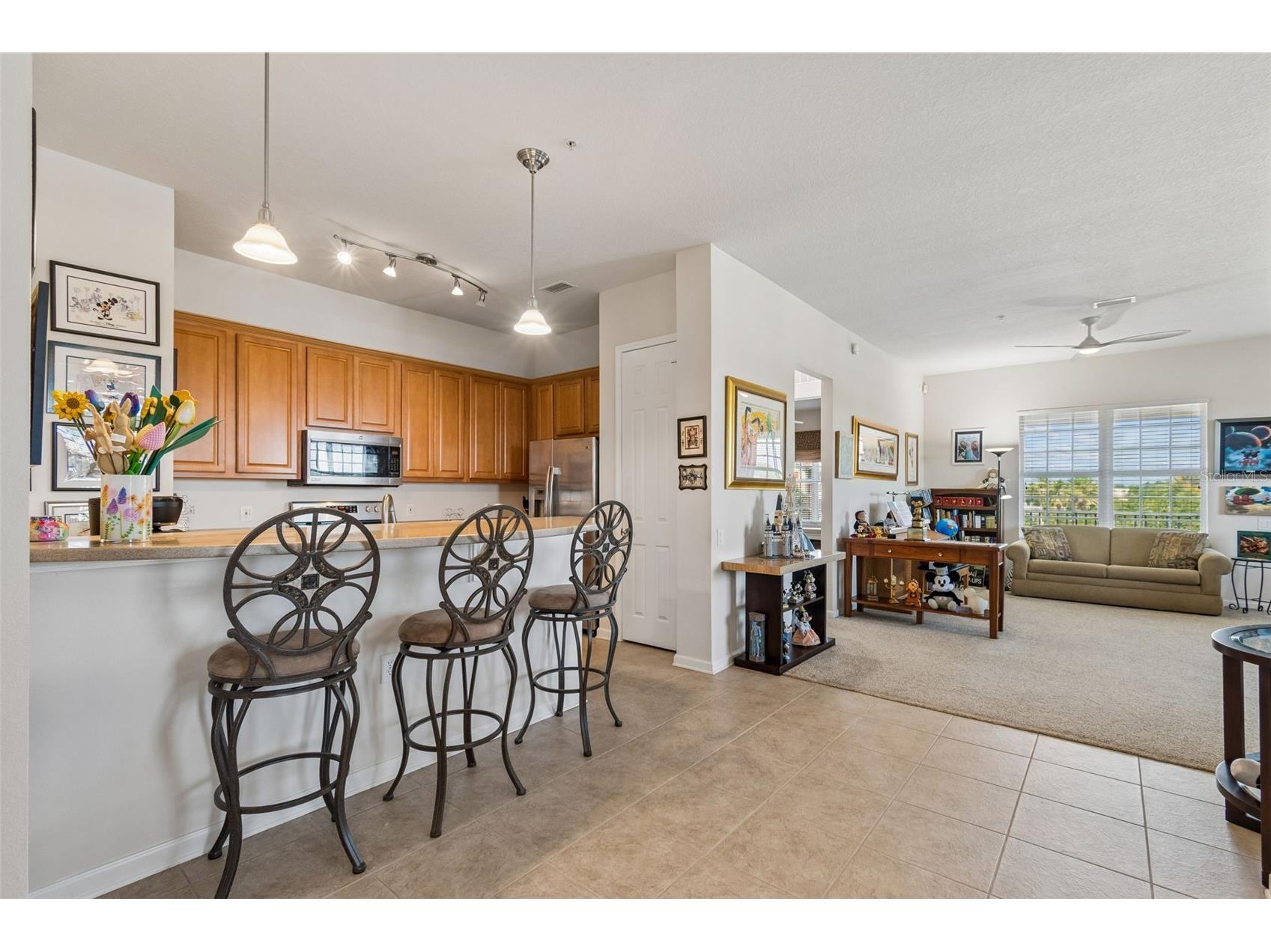 7903 Seminole Boulevard #2401 Seminole FL 33772 - LAKE SEMINOLE TB8507264 image16