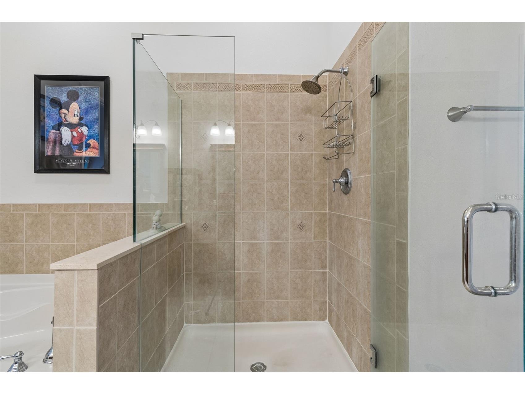 7903 Seminole Boulevard #2401 Seminole FL 33772 - LAKE SEMINOLE TB8507264 image30