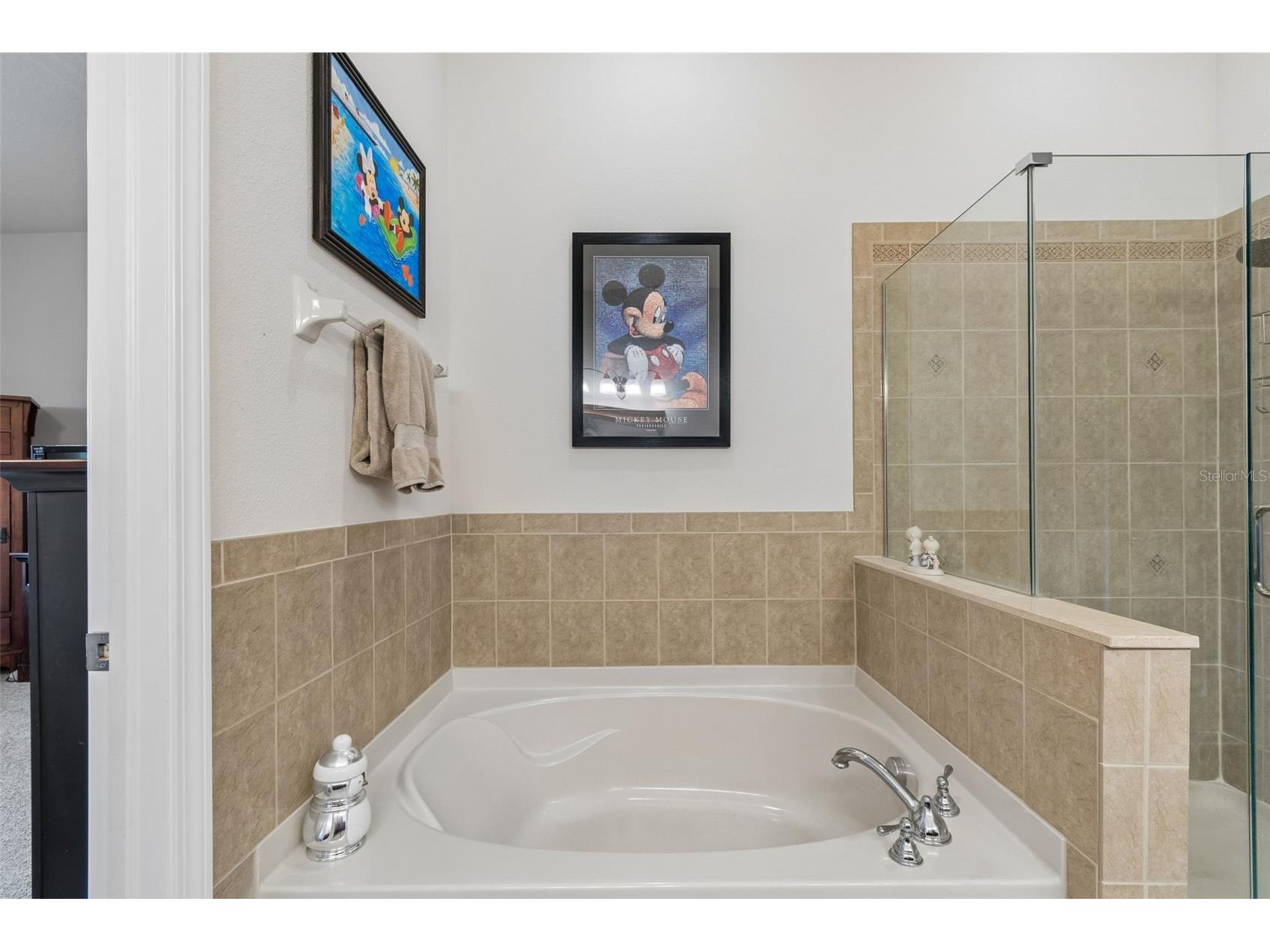 7903 Seminole Boulevard #2401 Seminole FL 33772 - LAKE SEMINOLE TB8507264 image31