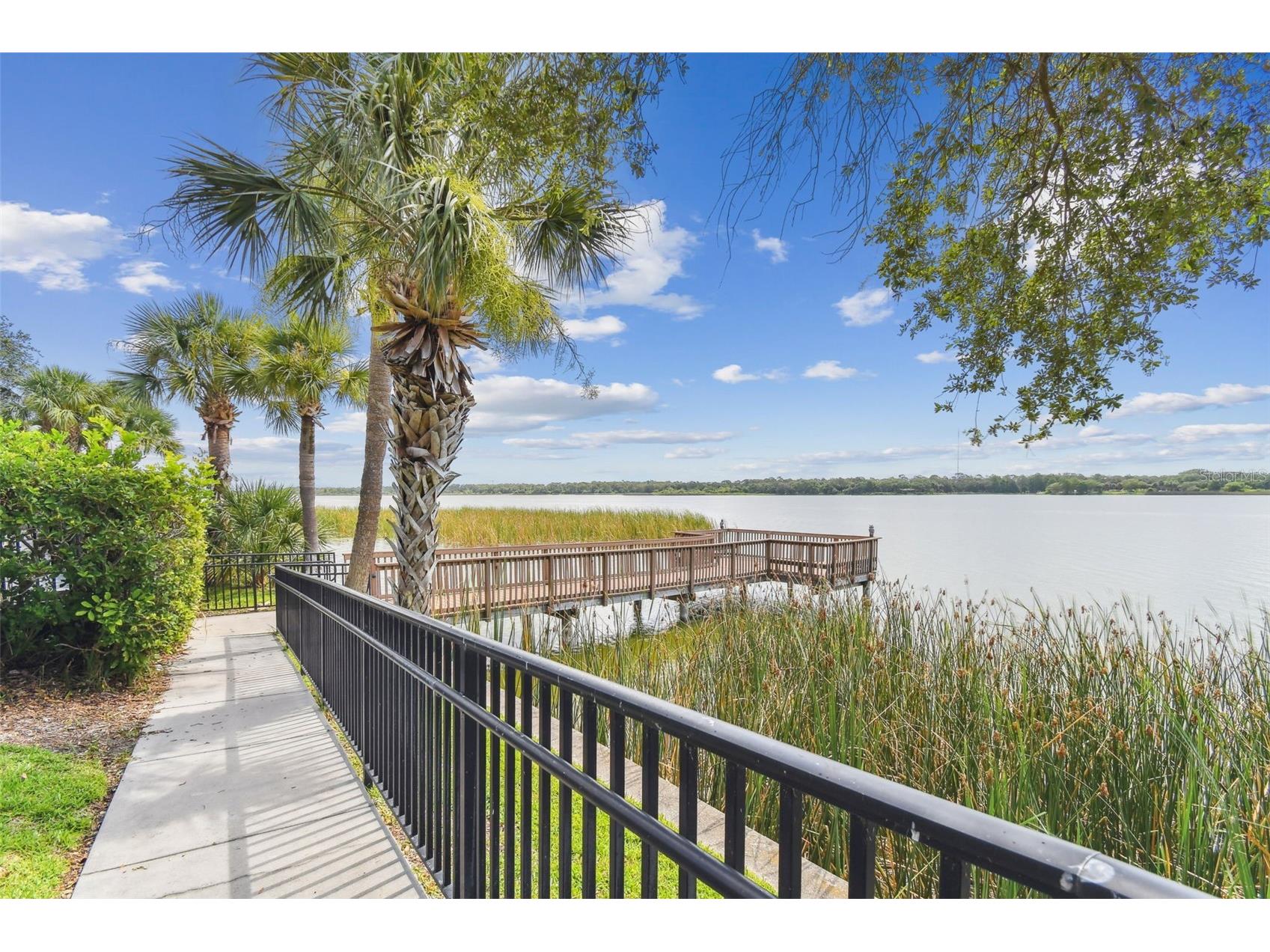 7903 Seminole Boulevard #2401 Seminole FL 33772 - LAKE SEMINOLE TB8507264 image71