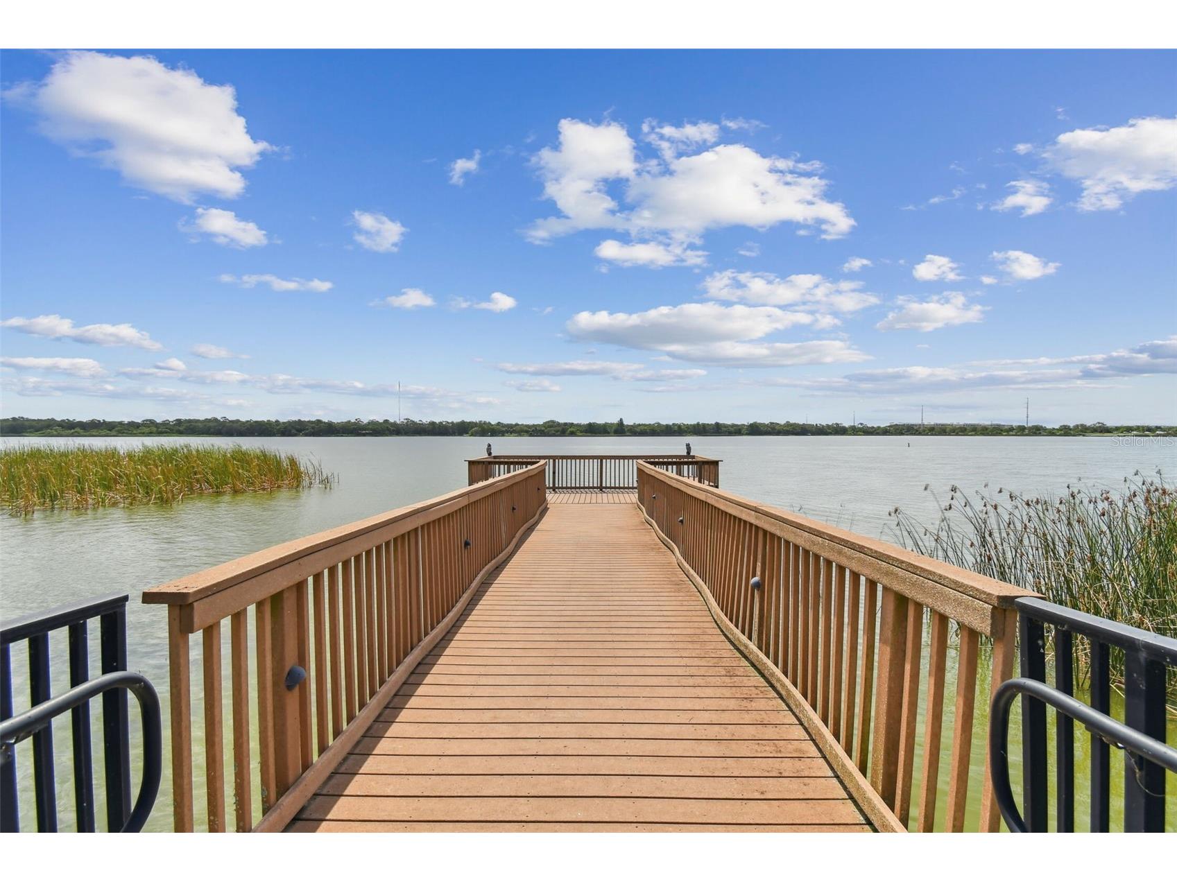 7903 Seminole Boulevard #2401 Seminole FL 33772 - LAKE SEMINOLE TB8507264 image72