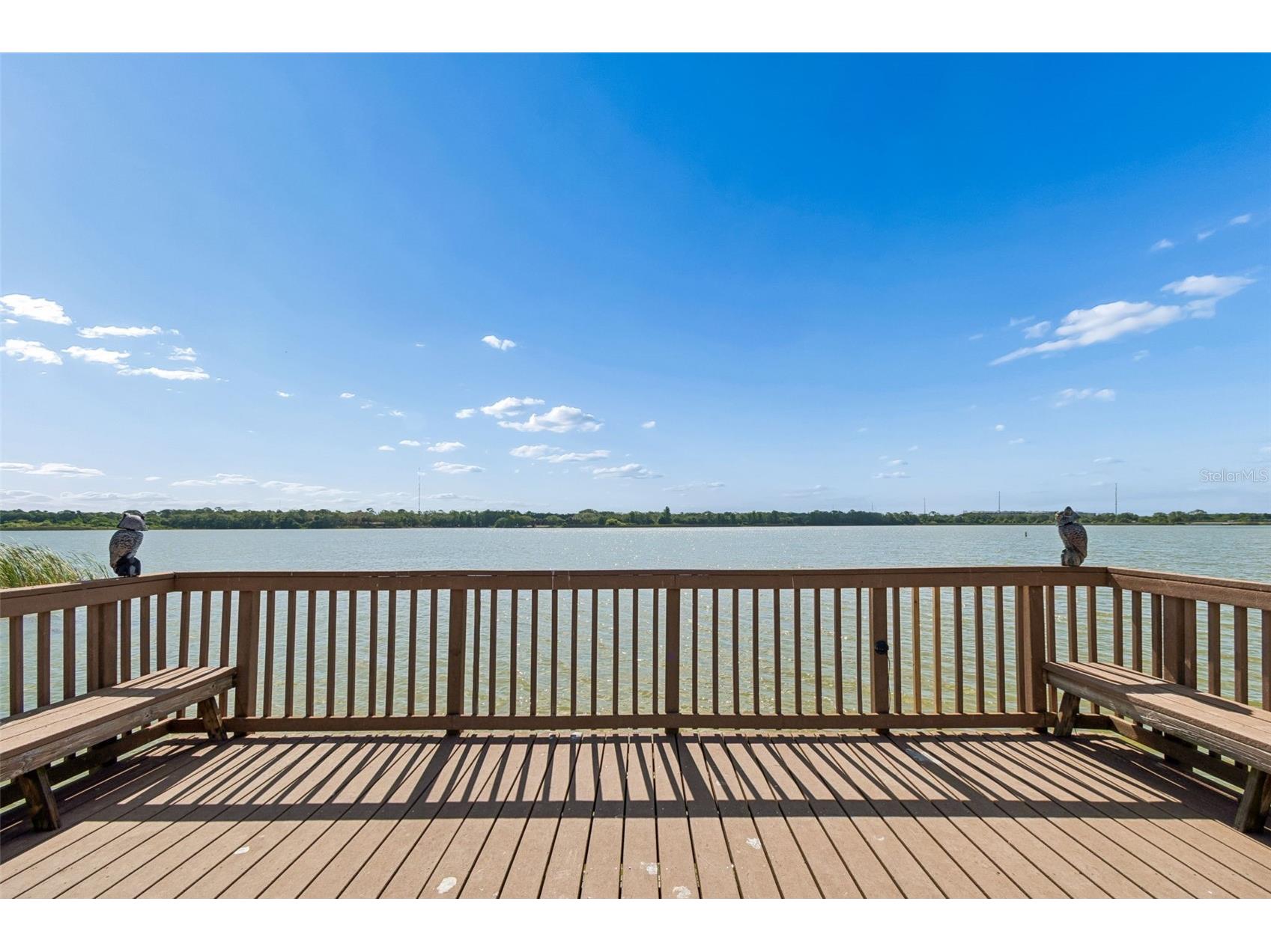 7903 Seminole Boulevard #2401 Seminole FL 33772 - LAKE SEMINOLE TB8507264 image73