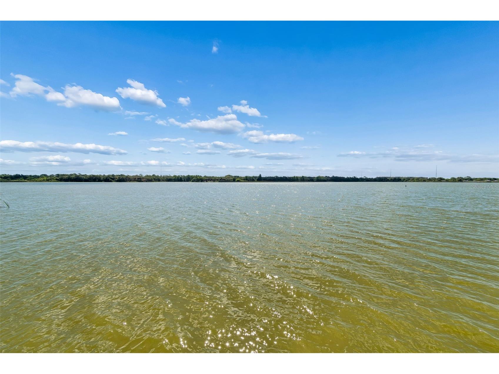 7903 Seminole Boulevard #2401 Seminole FL 33772 - LAKE SEMINOLE TB8507264 image74