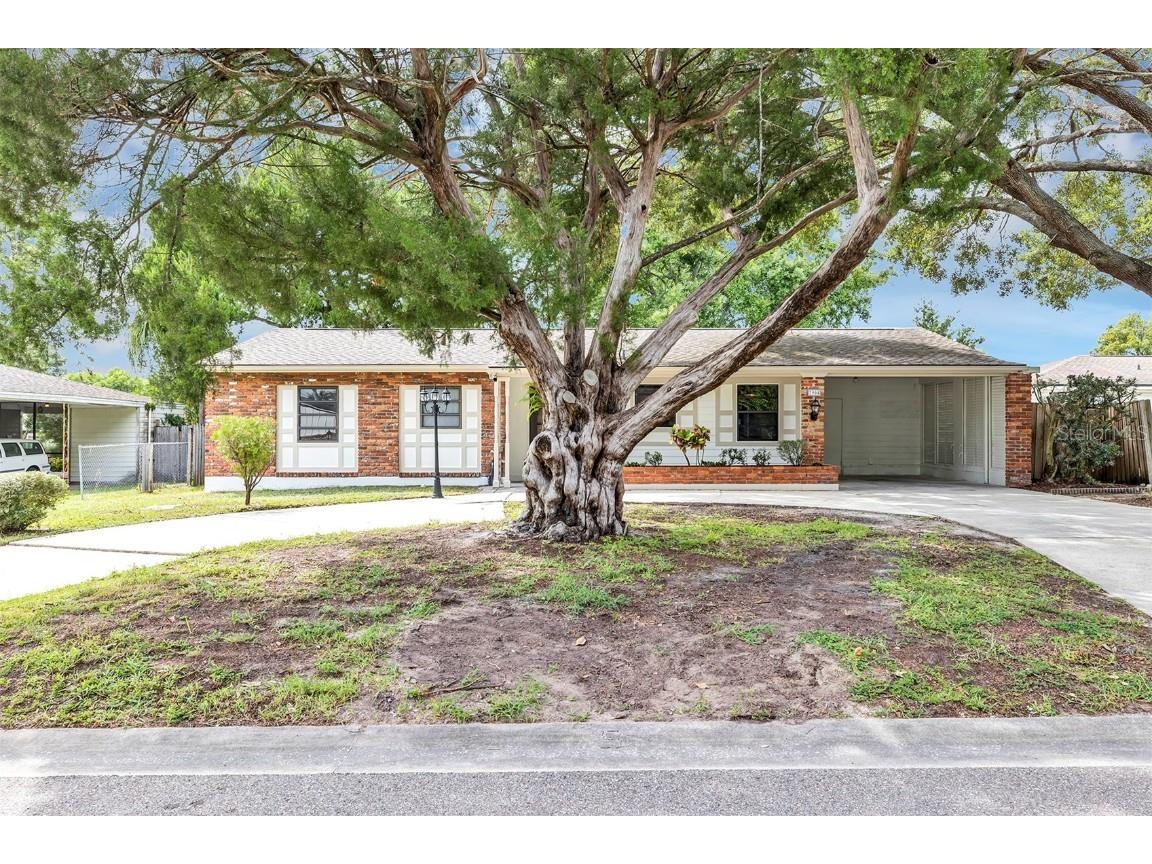 7904 Meadowglen Drive Orlando FL 32810 O6145368 image1