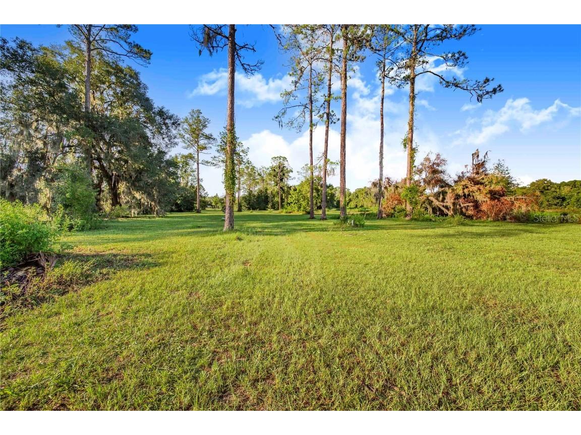 7904 SE Us Highway 301 Hawthorne FL 32640 O6371375 image15