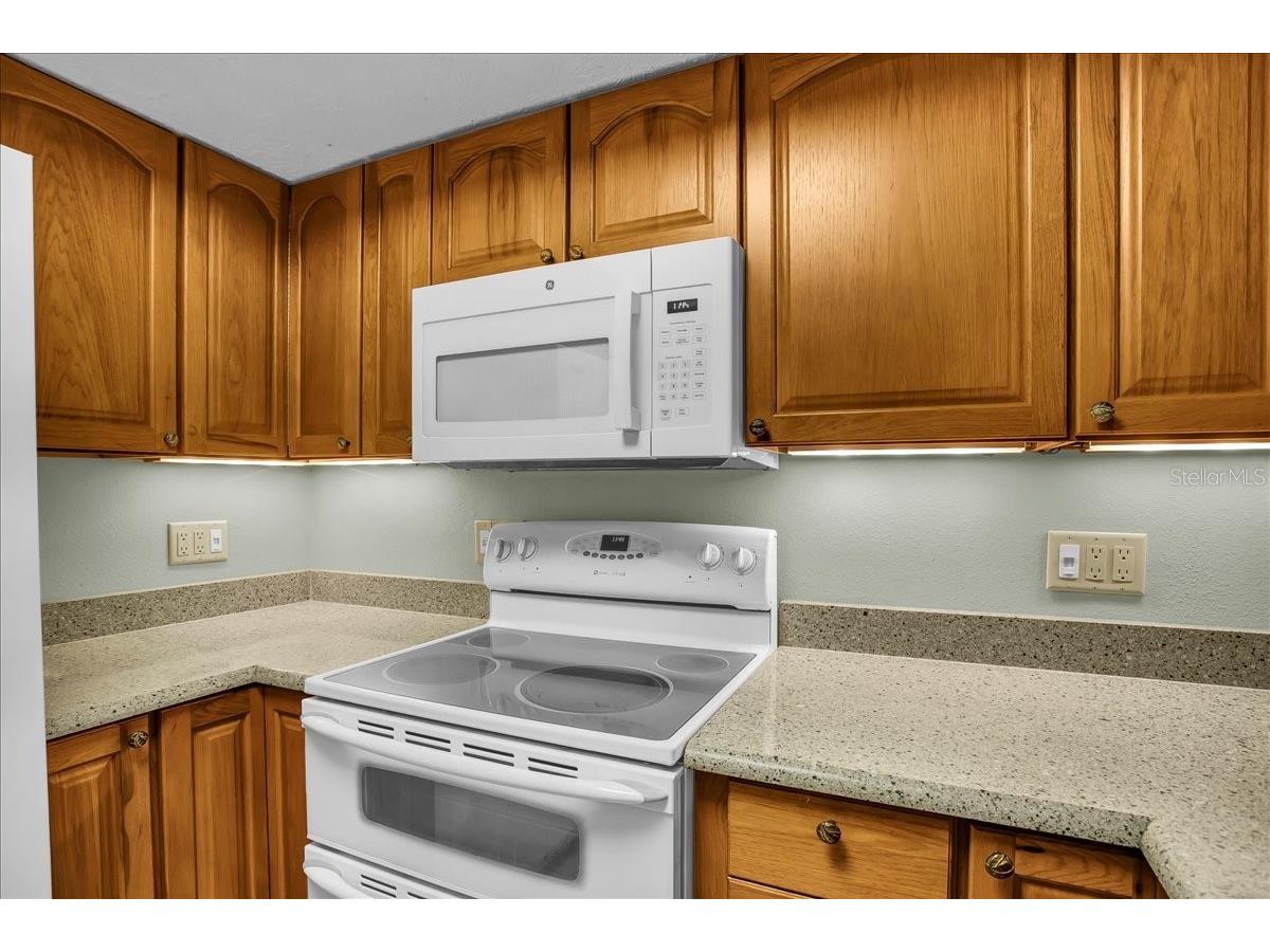 7905 Luxbury Place Tampa FL 33614 TB8468149 image23