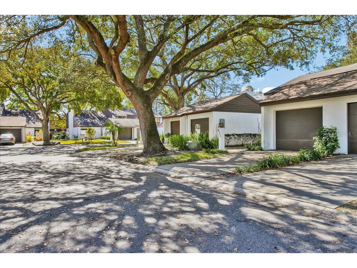 7905 Luxbury Place Tampa FL 33614 TB8468149 image3