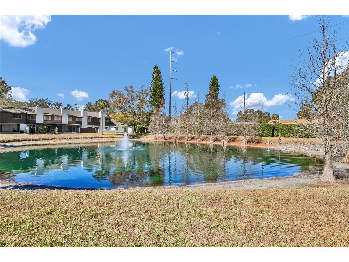 7905 Luxbury Place Tampa FL 33614 TB8468149 image55