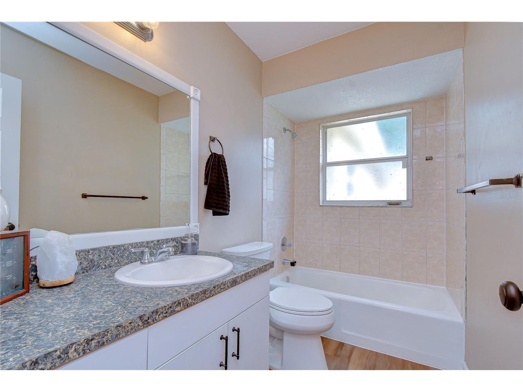 7905 N Fremont Avenue Tampa FL 33604 TB8511953 image43