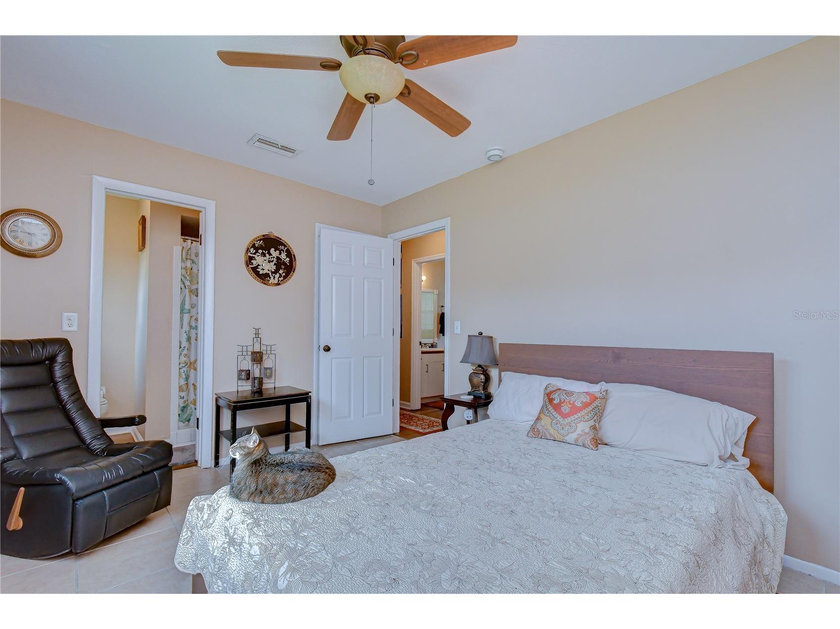 7905 N Fremont Avenue Tampa FL 33604 TB8511953 image47